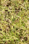 SBM_18501