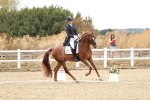 SBM_006810