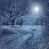 AS036 Frosty Mr Fox