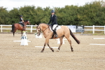 SBM_009071