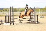 SBM_001929