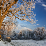 Derrymore Winter