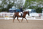 SBM_00323