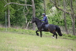 WJ6_1451
