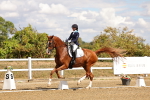 SBM_006232
