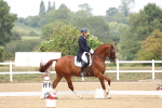 SBM_007428