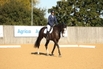 SBM_16528