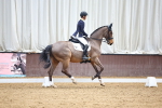 SBM_008151