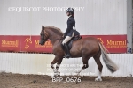 BPP_0676