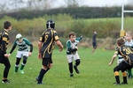 Penrith Juniors  Select 1 portfolio