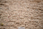 260829B-121528-00733