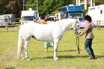 SBM_01639