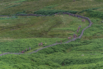 Wasdale-276