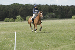 BVHT 140517  NXC -334