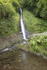 Dartmoor _ DR 011