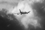 _MG_0197