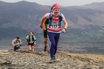 Coledale-880