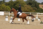 SBM_021898