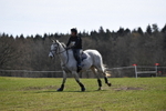 WJ5_6776