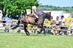 SBM_18171