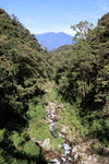 View of Volcan Baru, Panama
