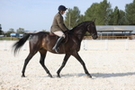 20260802-0240