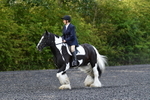 WJ5_8664