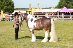 SBM_08833