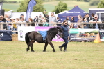 SBM_16391