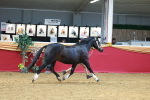 SBM_04117