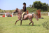JPP_2967