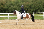 SBM_001587