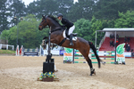 Class 7: Senior Newcomers/1.10m open portfolio