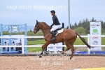 BPP_4801