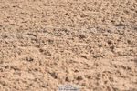 231015A-132926-08322