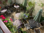 Tearoom garden