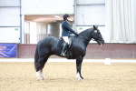 SBM_002311