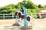 SBM_006667