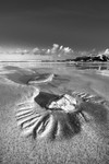 IMG_9234 v4 bw