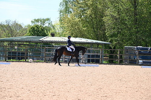 WJ6_8830