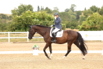 SBM_000784