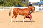 SBM_09274