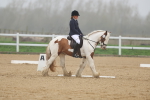 SBM_000881