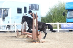 SBM_12135