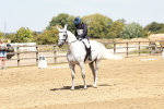 SBM_002485