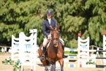 151-GREANNANSTOWN_QUARRYMAN_GIRL-Grace_Taylor-SUNTrotUp+SJ portfolio