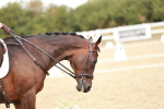 SBM_009941