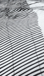 SAND/FENCE/SHADOW - LONG POINT BEACH