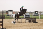 SBM_002498
