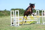 Class 13: Senior Newcomers/1.10m open portfolio